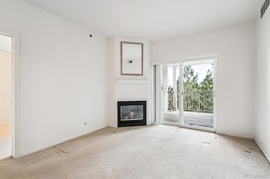 2896 W Riverwalk Cir unit A304, Littleton, CO 80123 - photo 4