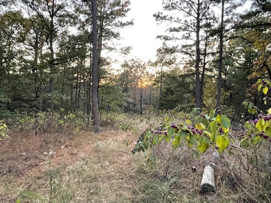 0 Willys Cir unit 11610692, Moyers, OK 74557 - photo 5