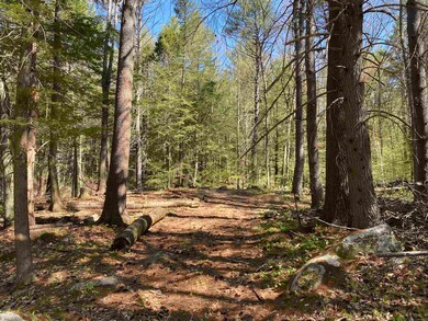 Map 214 Lot 99 Ashley Rd, Antrim, NH 03440 - photo 3