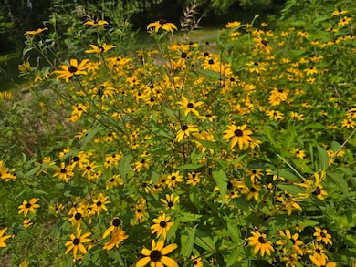 10200 County Highway Y, Mazomanie, WI 53560 - photo 6