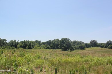 IMG_8441