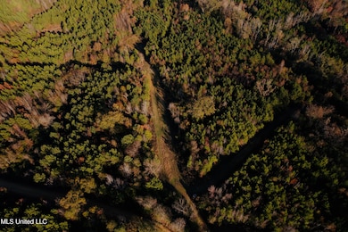 0 County Road 4210, Sallis, MS 39160 - photo 5