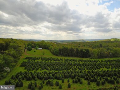 0 Sculps Hill Rd unit 1000282802, Auburn, PA 17922 - photo 4