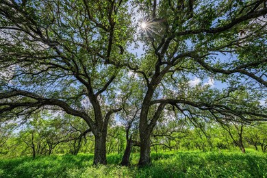 7602 County Road 113, Llano, TX 78643 - photo 5