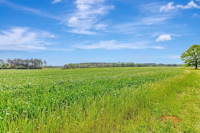 View of Property