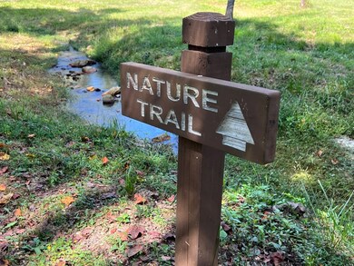 82 Barrel Knot Ct, Talking Rock, GA 30175 - photo 7