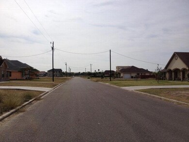 n/a White St, Donna, TX 78040 - photo 2