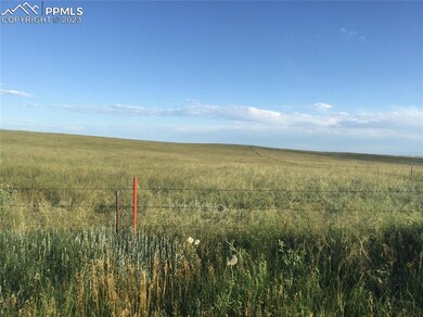 Tract 1 Murphy Rd, Calhan, CO 80808 - photo 3