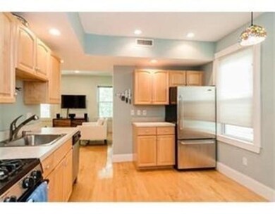 193 Brookline St unit 2L, Cambridge, MA 02139 - photo 3