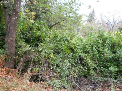 927 Ash St, Lake Oswego, OR 97034 - photo 3