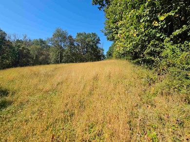 E9088 State Route 82 E, Viroqua, WI 54665 - photo 4