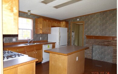 382 Dale Valley Cir, Ellijay, GA 30540 - photo 4