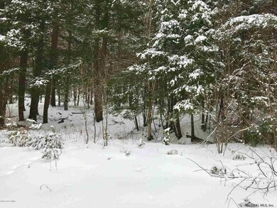 8 Potter Brook Rd, Warrensburg, NY 12885 - photo 4