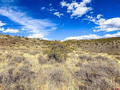 0 Cavalry Trail unit 826006, San Luis, CO 81152 - photo 2
