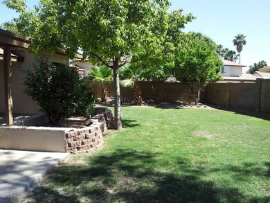 beautiful yard