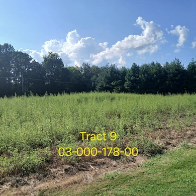 00 3rd St, Bridgeport, IL 62417 - photo 3