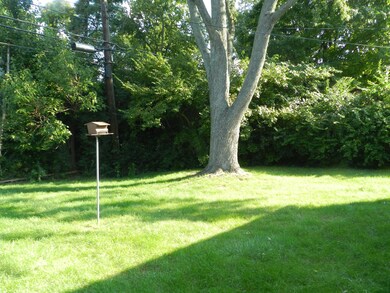 Rear Yard