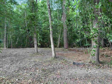 25 Crickle Creek Ln, Camden, SC 29020 - photo 4