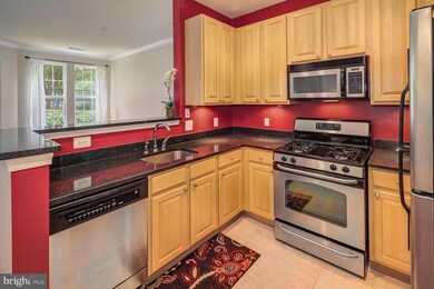 2301 25th St S unit 4104, Arlington, VA 22206 - photo 5