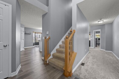 19-web-or-mls-DSC09754