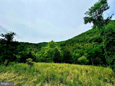 TBD Dumpling Run Rd, Moorefield, WV 26836 - photo 6