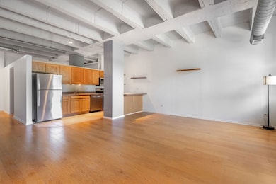 Rennaissance Place unit 313, Chicago, IL 60615 - photo 5