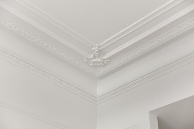 260-262 Commonwealth Ave unit 1A, Boston, MA 02116 - photo 6