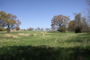 Tract 1 Bunker Rd, Harrison, AR 72601 - photo 5