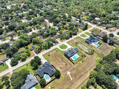 812 Briarmeadow Ave, Friendswood, TX 77546 - photo 5