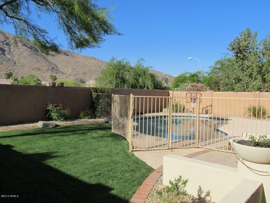 New Grass & Fenced Pool