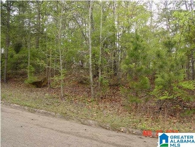 000 Timothy Dr, Oxford, AL 36203 - photo 2