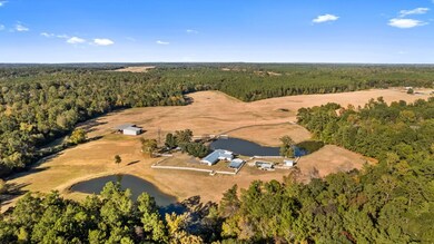 1038 F R Lewis Rd, Nacogdoches, TX 75964 - photo 5