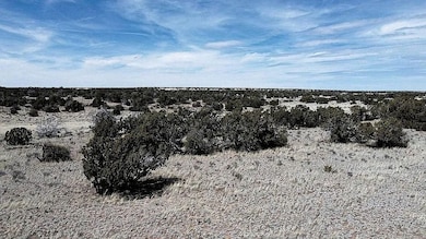 205 N7415, Saint Johns, AZ 85936 - photo 4