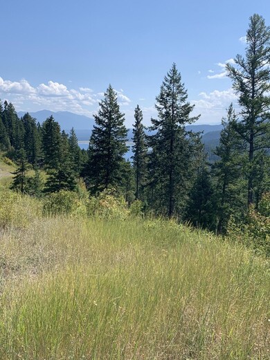 Nhh Cougar Flats Rd, Bigfork, MT 59911 - photo 3