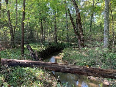 43.93 Ac Thomas Springs Rd, Crossville, TN 38572 - photo 6