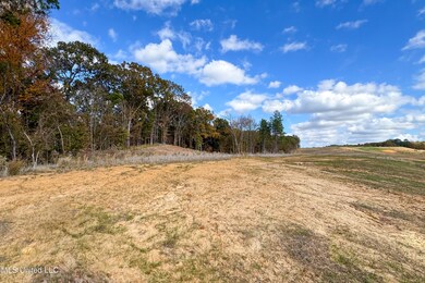 Tract 3 Hugh White State Park Road-5