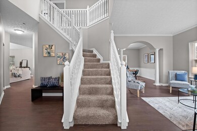 LiveOak-2