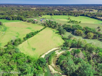 7917 Campbell Rd Russellville-92