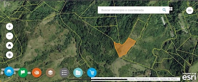Land Area