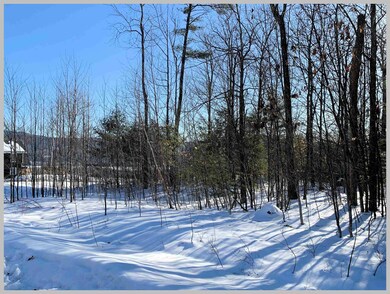 Lot #23 Ski Lift Ln, Plymouth, NH 03264 - photo 5