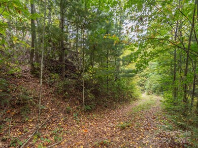 00 Keull Rd, Waynesville, NC 28785 - photo 4