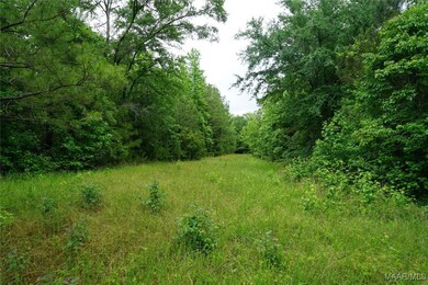 25940 Troy Hwy, Ramer, AL 36036 - photo 5