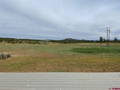 965 D Bar K Dr, Durango, CO 81301 - photo 3