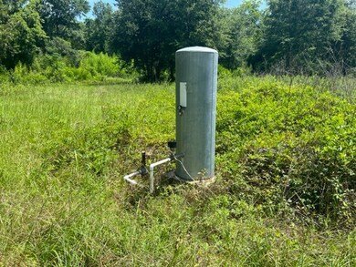 1311 Dorough Ave, Putney, GA 31705 - photo 2