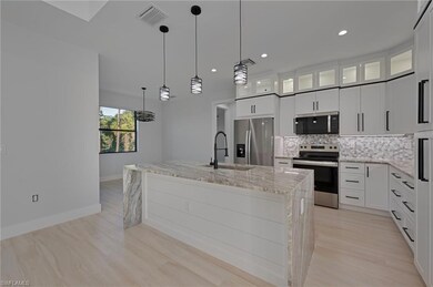 3699 20th Ave NE, Naples, FL 34120 - photo 3