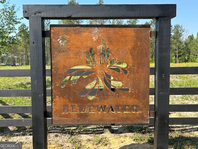 0 Springhaven Rd unit LOT 19 10589733, Dexter, GA 31019 - photo 4