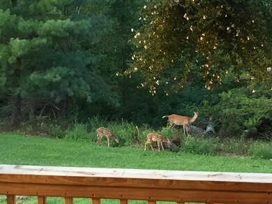 8871 Bohon Rd, Harrodsburg, KY 40330 - photo 5