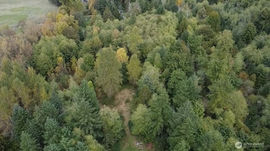 13920 Littlerock Rd SW, Rochester, WA 98579 - photo 4