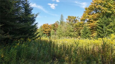 78 Culver Brook Rd, Boonville, NY 13309 - photo 7