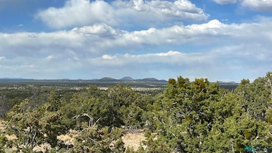 61 Native Drum Pass, Fence Lake, NM 87315 - photo 2